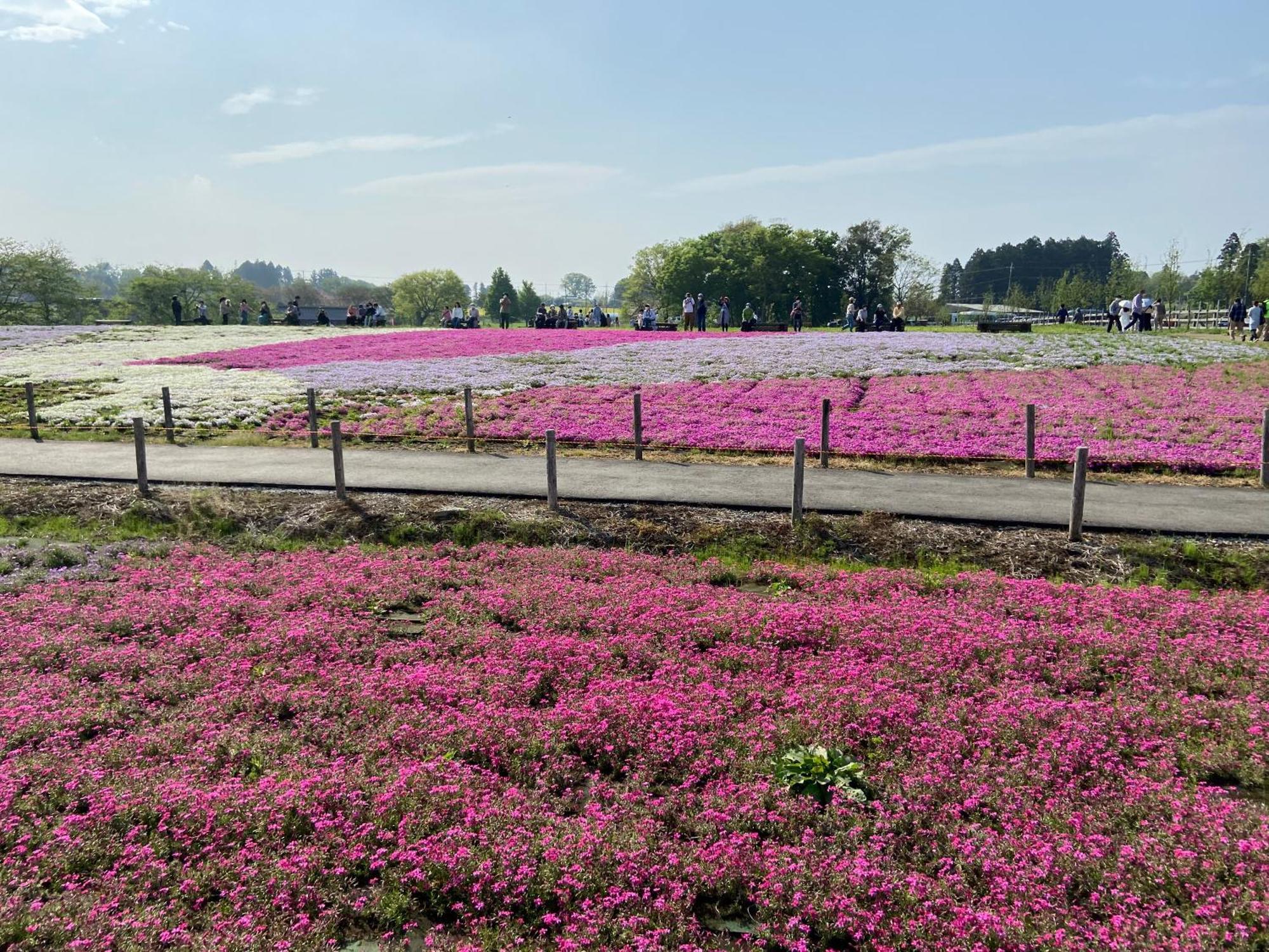 Vessel Inn Keisei Tsudanuma Station Narashino Екстериор снимка